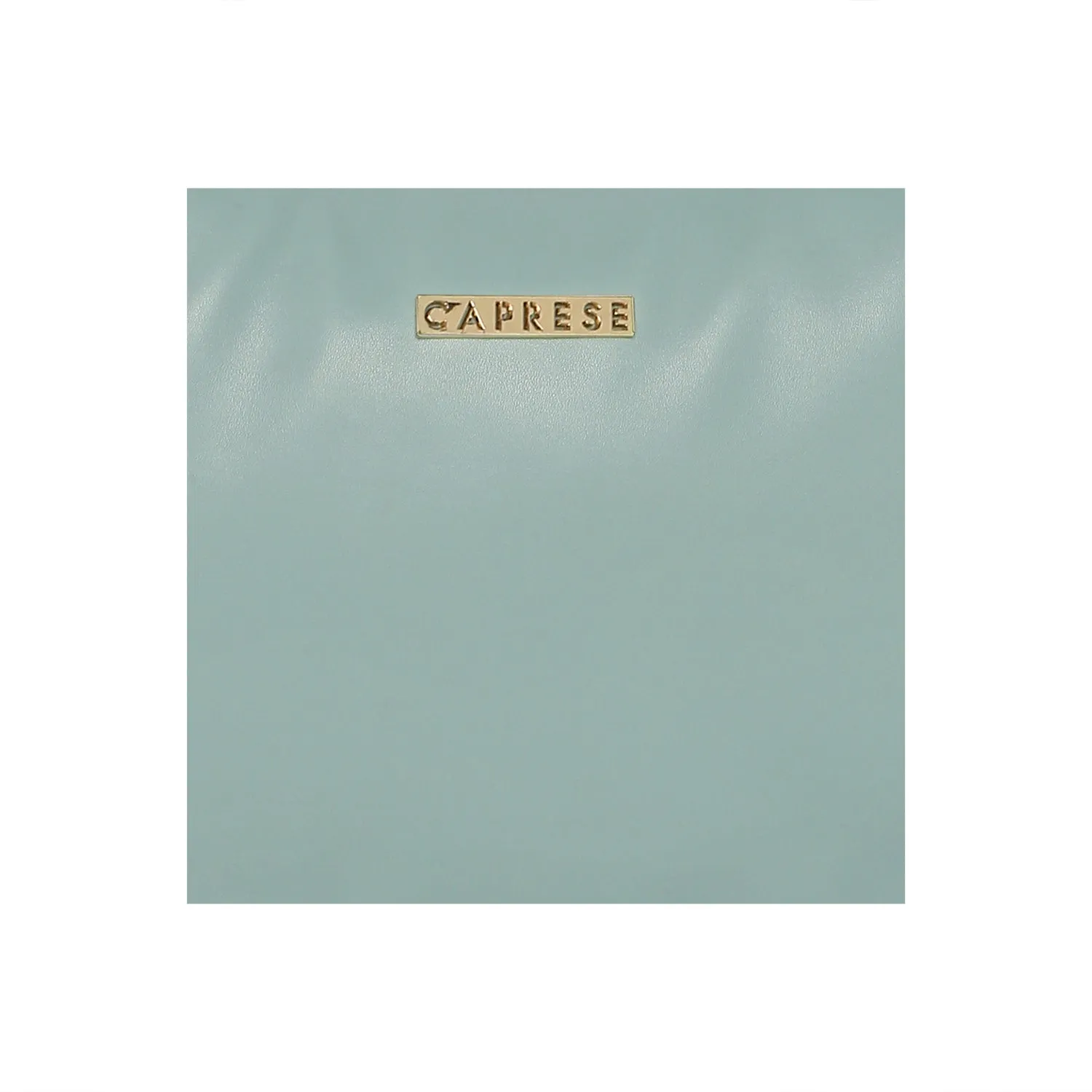 Caprese Rosalia Satchel Medium Pastel Green