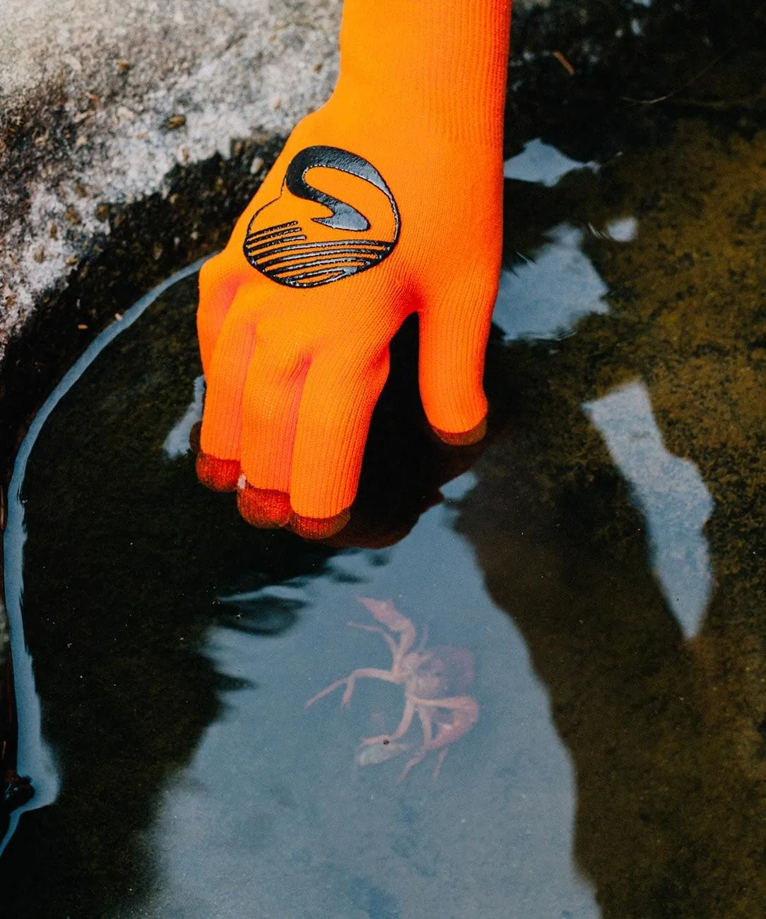 Cross Point Knit Waterproof Gloves