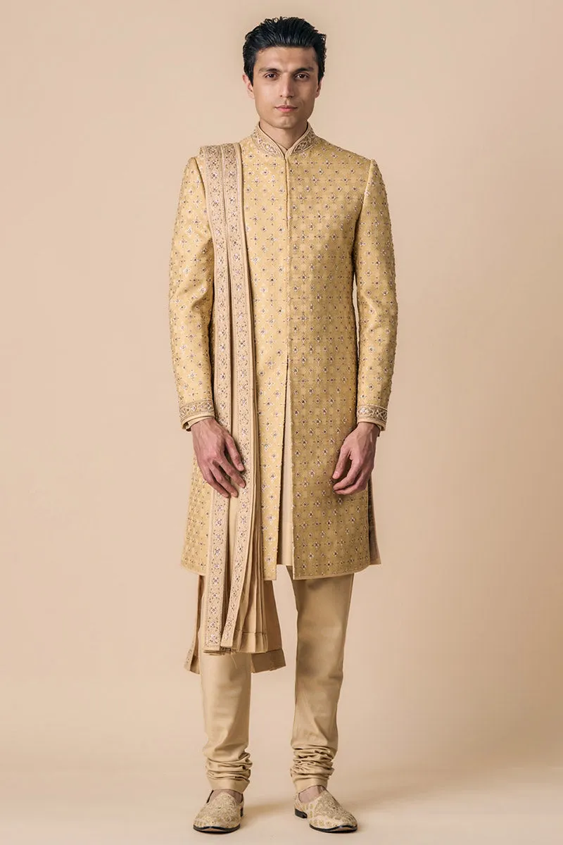 Gold All Over Resham Embroidered Pleated Stole