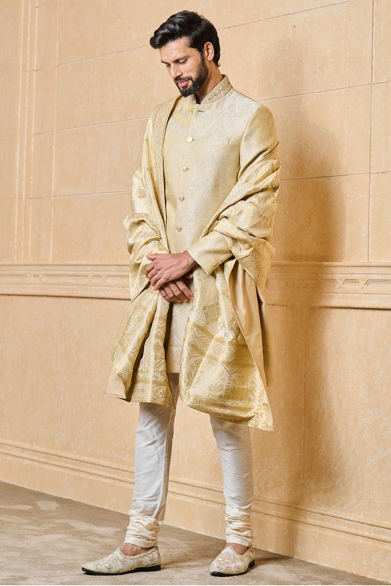 Gold All Over Zari Jacquard Stole