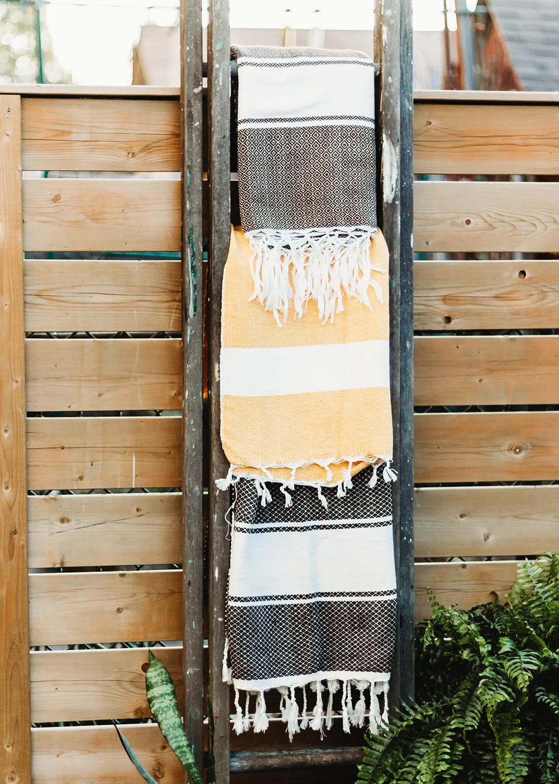 Pashmina/Scarves